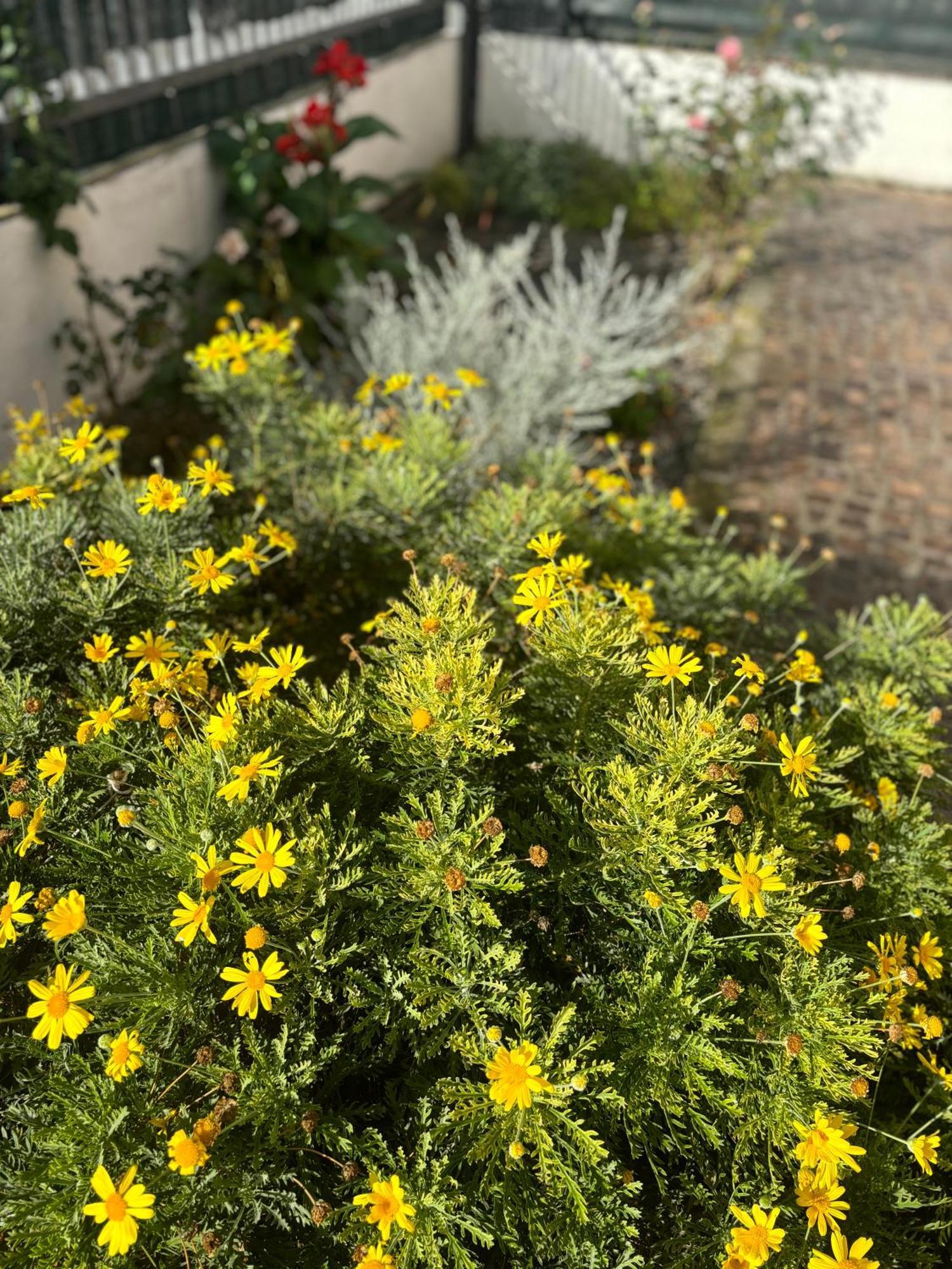 Casa Vacanze Primavera 马拉泰亚 外观 照片